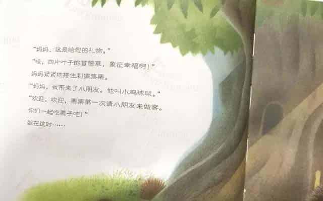 小鸡球球和小刺猬