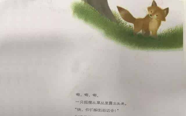 小鸡球球和小刺猬