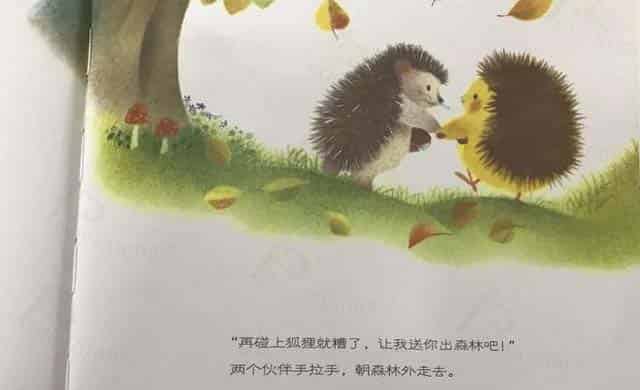 小鸡球球和小刺猬