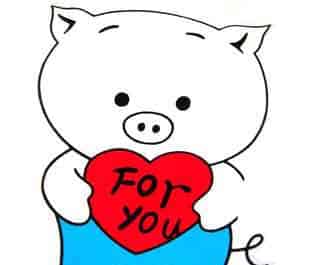 小猪的生日礼物