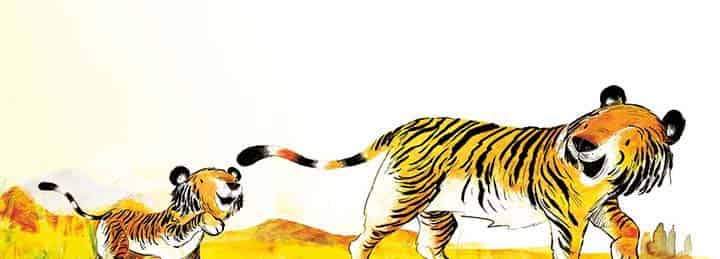 加油小老虎汤姆