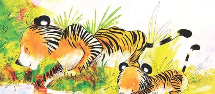 加油小老虎汤姆