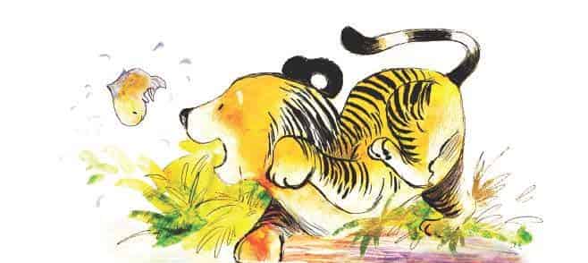 加油小老虎汤姆