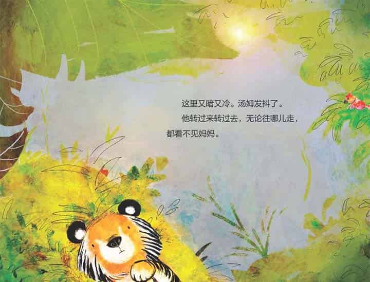 加油小老虎汤姆