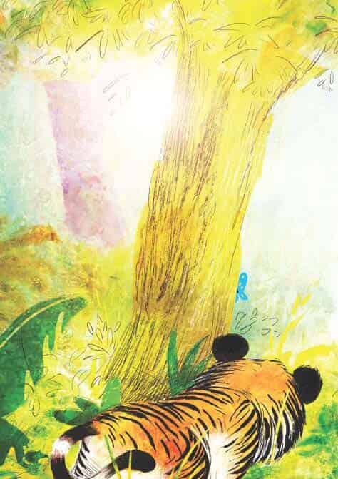 加油小老虎汤姆