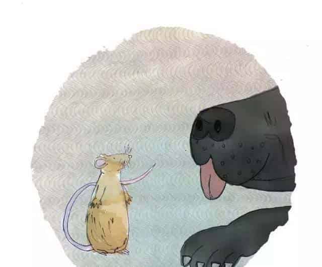 小老鼠找新家（A House for a Mouse）