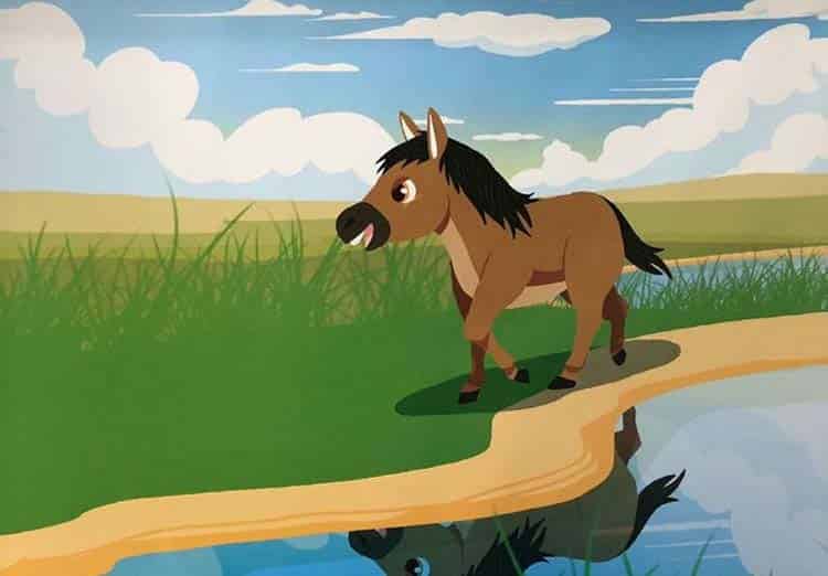 小骆驼与小棕马