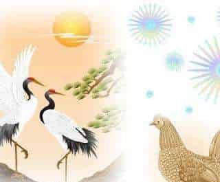 羡慕仙鹤的花母鸡