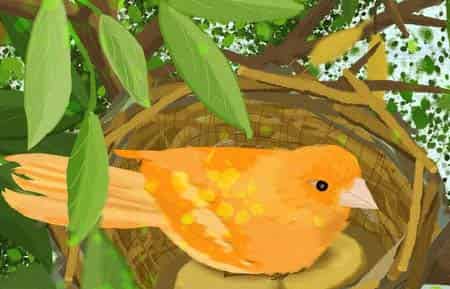 小鸟和大树妈妈