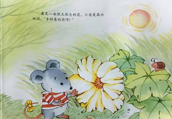 小老鼠的新奇世界（新奇的世界）