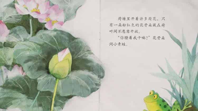 小青蛙与荷花（学会等待）