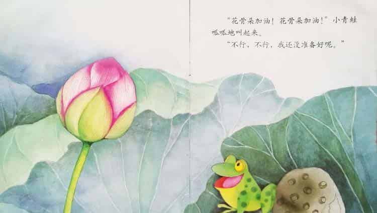 小青蛙与荷花（学会等待）
