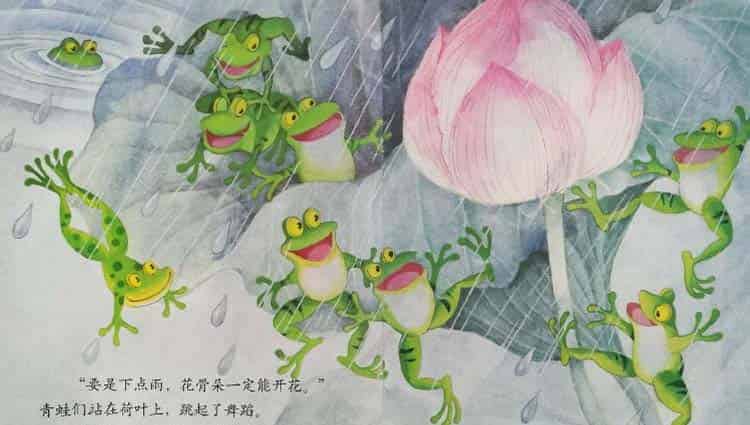 小青蛙与荷花（学会等待）