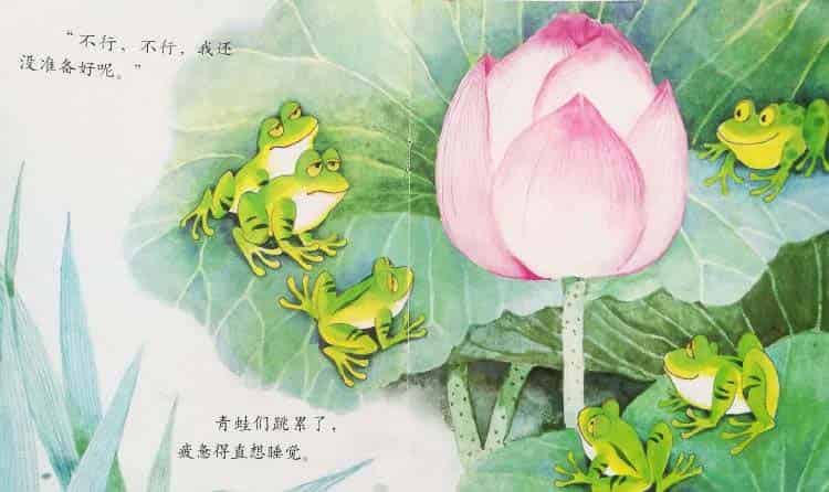 小青蛙与荷花（学会等待）