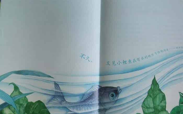 小青蛙与小鲤鱼