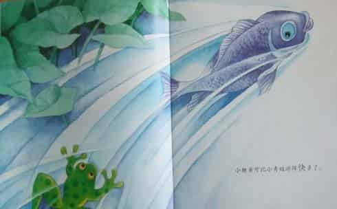 小青蛙与小鲤鱼