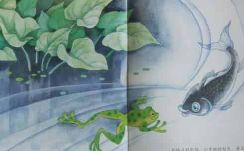 小青蛙与小鲤鱼