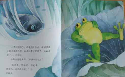 小青蛙与小鲤鱼