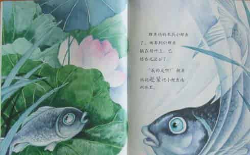 小青蛙与小鲤鱼
