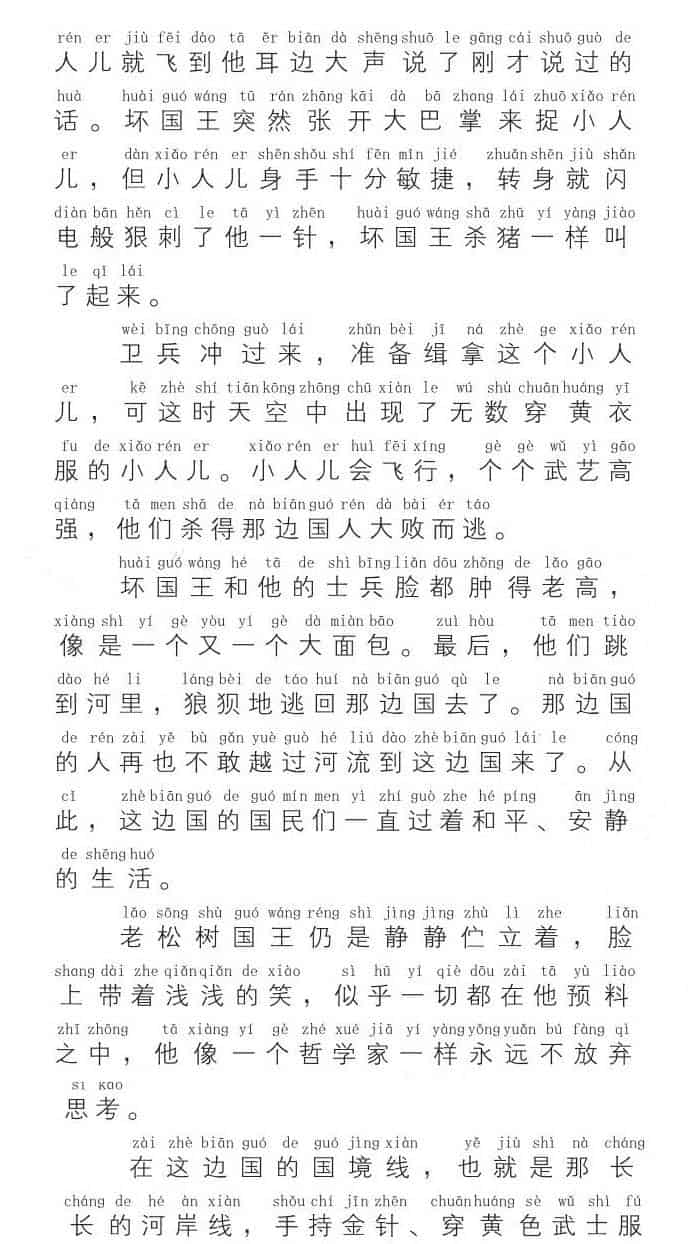 这边国的小人儿武士