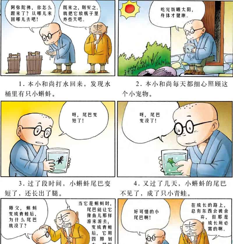 消失的尾巴