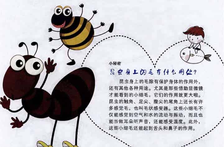 蟋蟀和蚂蚁要美容