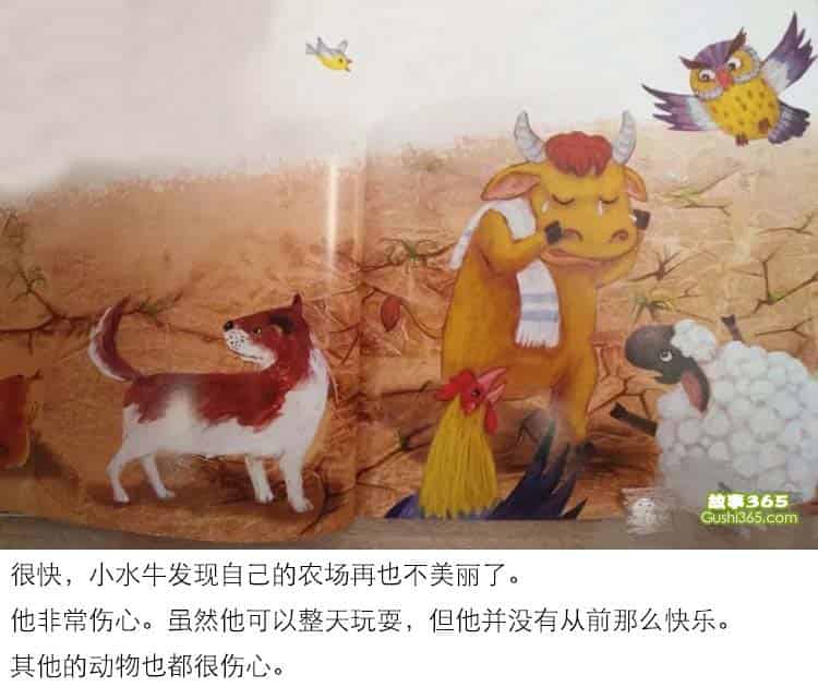 小水牛更勤奋了