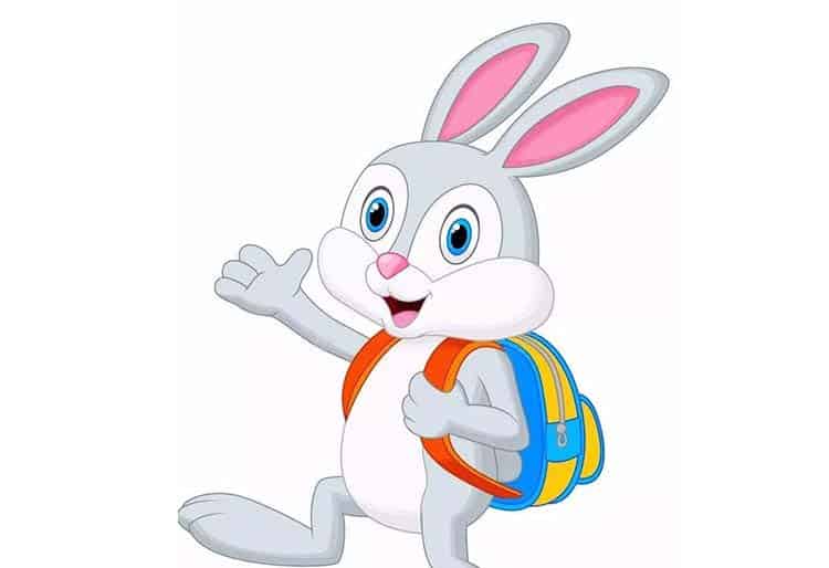 漂亮的胡萝卜背包