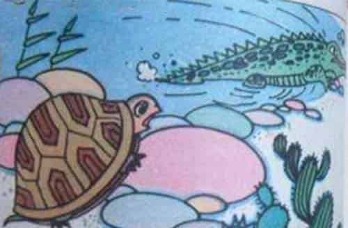小乌龟出世记