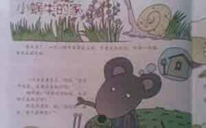 小蜗牛的家