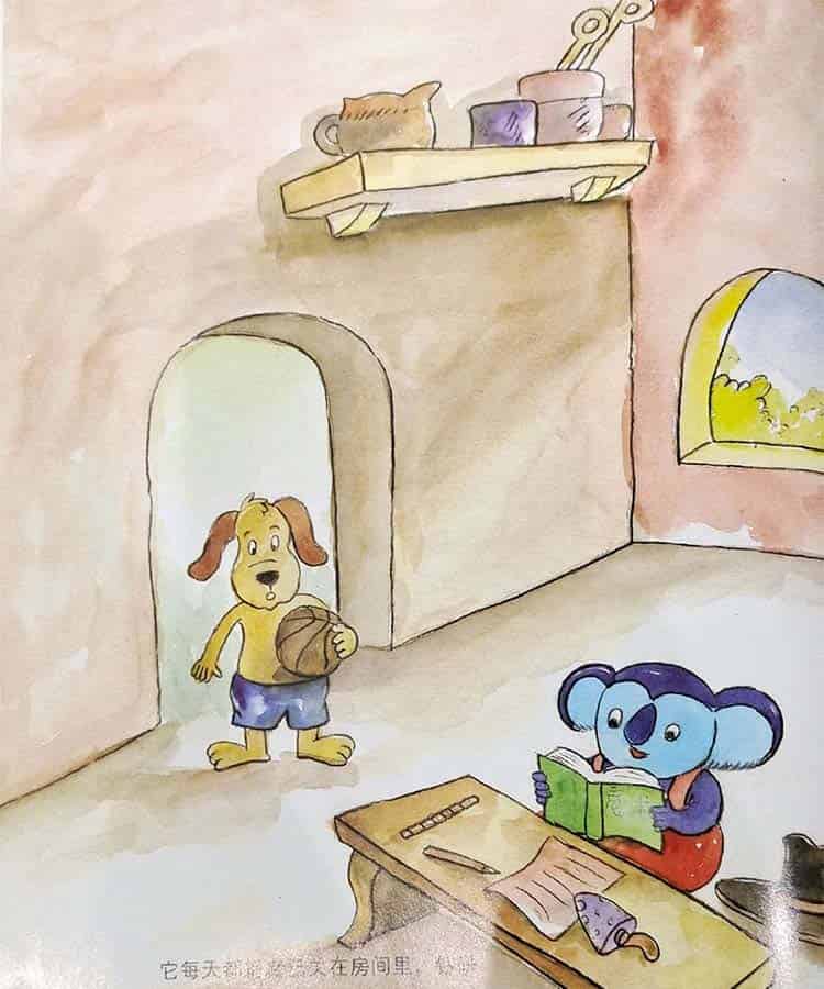 想学魔术的小考拉