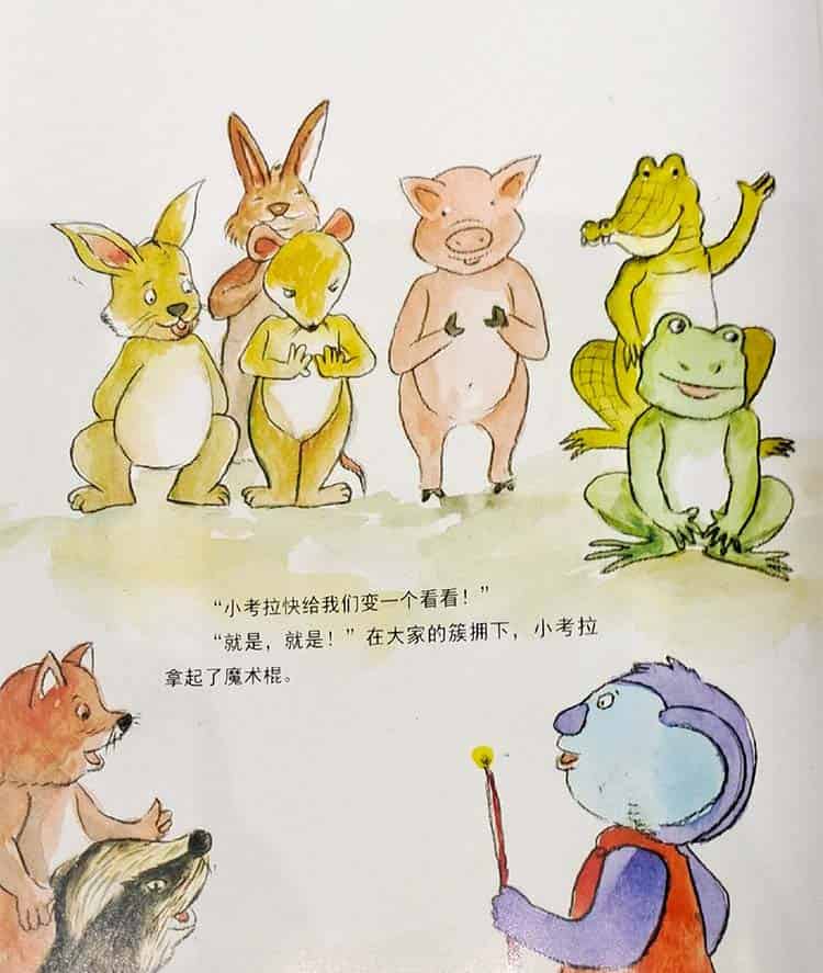 想学魔术的小考拉