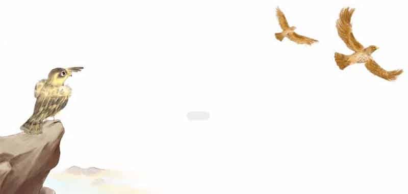 小鹰飞啊飞