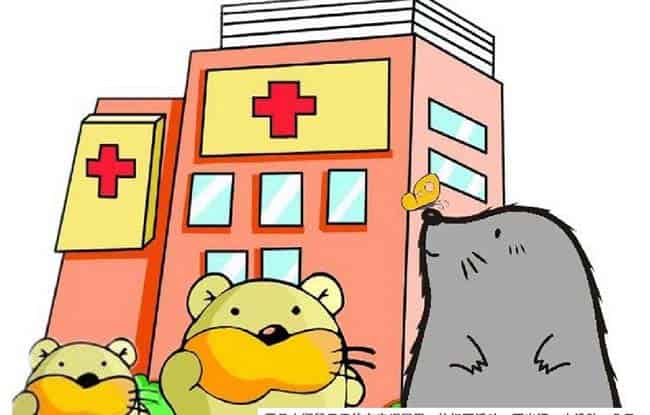 小鼹鼠的空调屋 小鼹鼠的空调屋