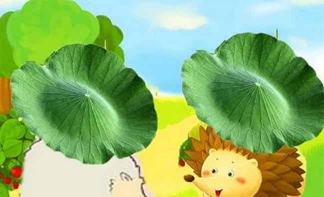 小鼹鼠的空调屋 小鼹鼠的空调屋