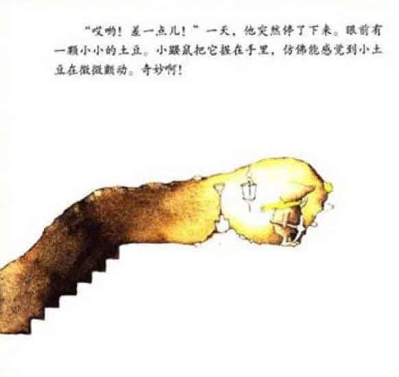 小鼹鼠的土豆