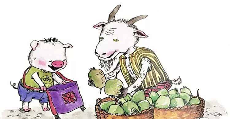 小猪的生日礼物