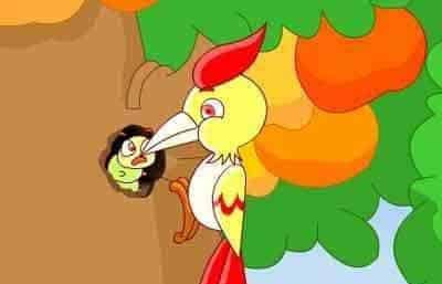 小啄木鸟的疑惑