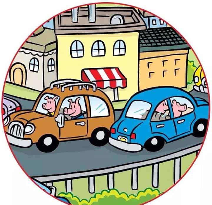 小猪们在开车（车轮上的小猪）