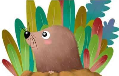 会变味的小花毯