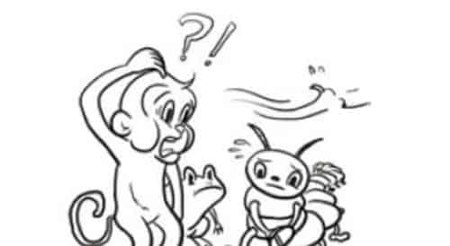 猿猴与蜈蚣 猿猴与蜈蚣