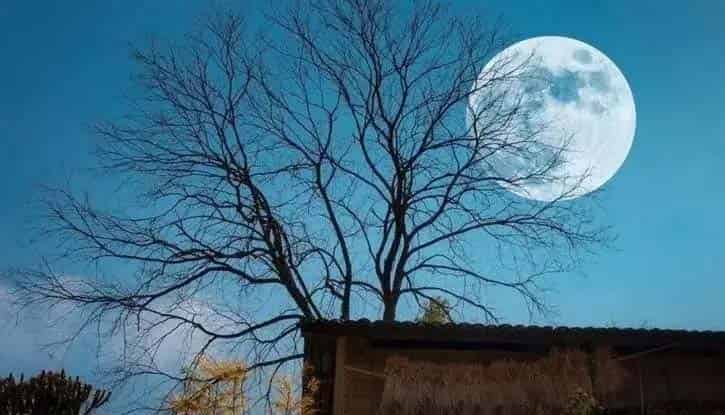 月亮的味道 月亮的味道