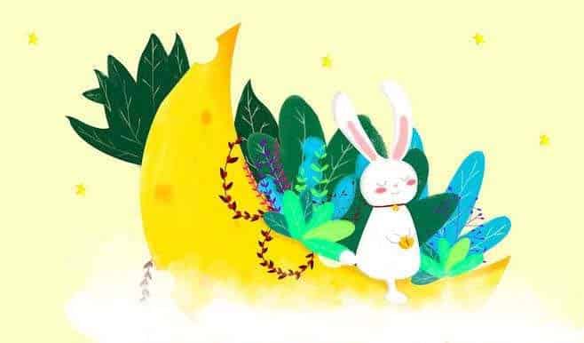 顽皮的月亮小兔