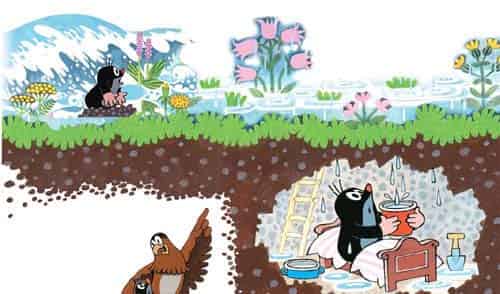 鼹鼠和小鸟宝宝（鼹鼠和老鹰）