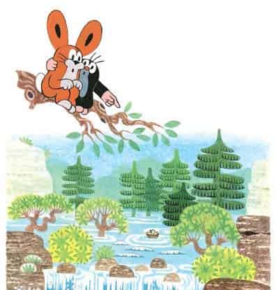 鼹鼠和小鸟宝宝（鼹鼠和老鹰）