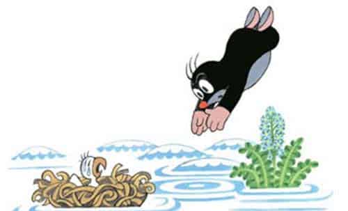 鼹鼠和小鸟宝宝（鼹鼠和老鹰）