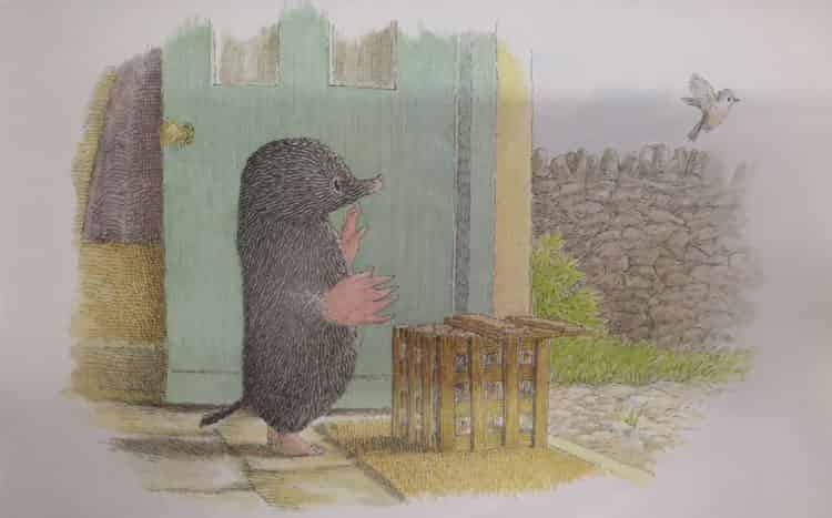 鼹鼠与小鸟 鼹鼠与小鸟