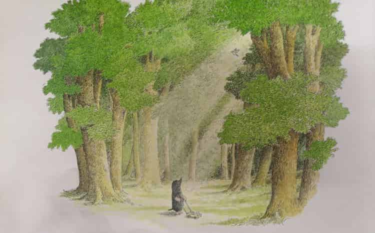 鼹鼠与小鸟 鼹鼠与小鸟