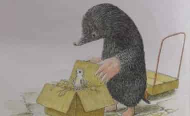 鼹鼠与小鸟 鼹鼠与小鸟