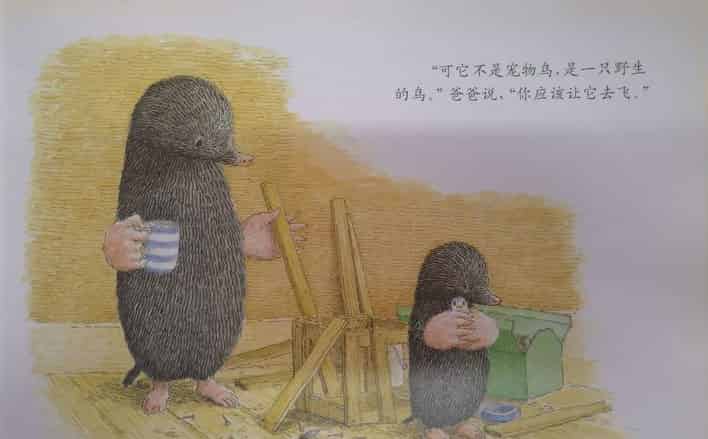 鼹鼠与小鸟 鼹鼠与小鸟